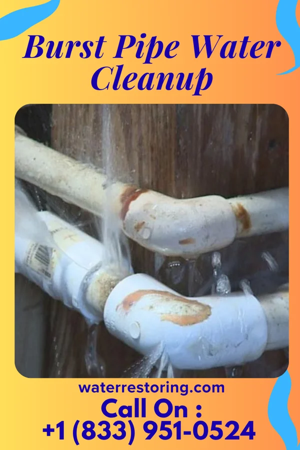 Burst Pipe Water Cleanup in Pamelia Center, NY