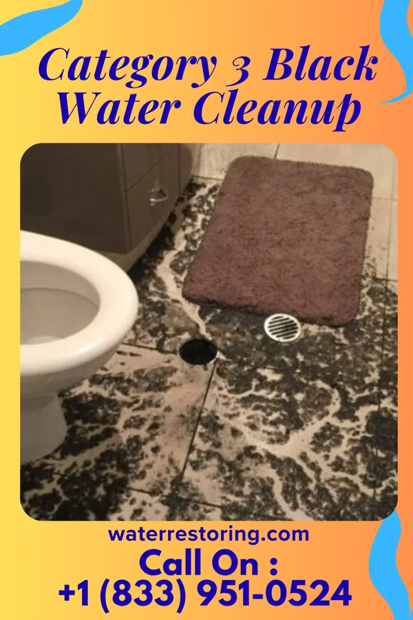 Category 3 Black Water Cleanup in Pamelia Center, NY