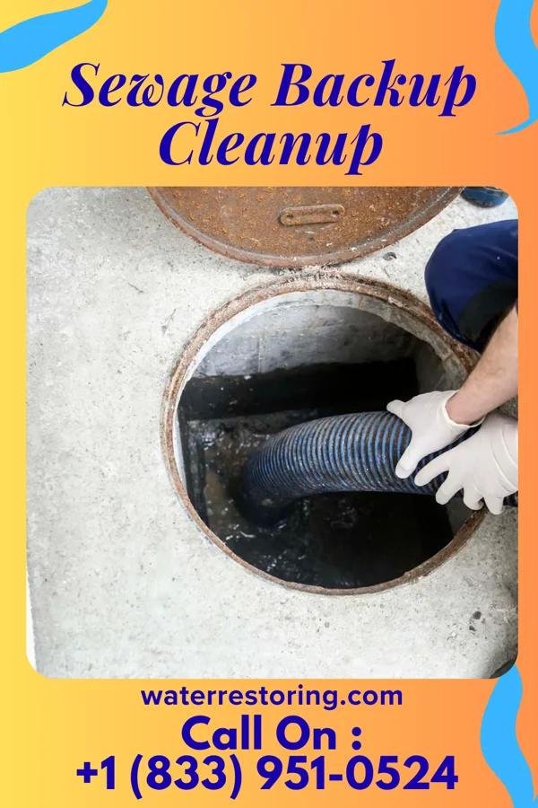 Sewage Backup Cleanup in Pamelia Center, NY