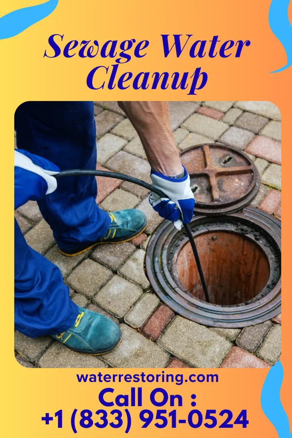 Sewage Water Cleanup in Pamelia Center, NY
